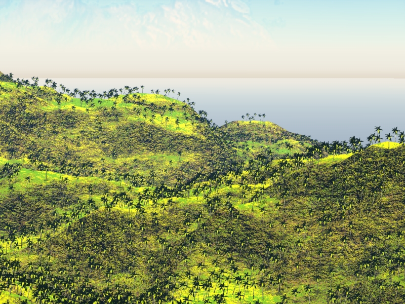 Terrain with palms